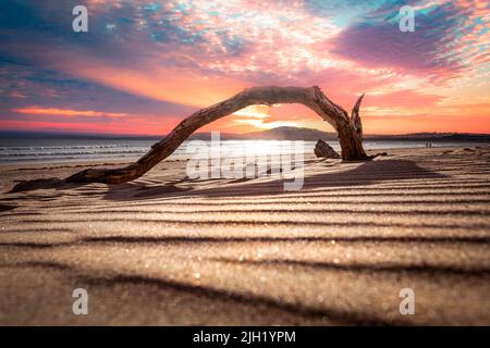 Driftwood bei Sonnenuntergang am Aberavon Beach in Port Talbot, South Wales, Großbritannien Stockfoto