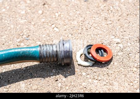 Die neue Gummidichtung wird in einer Innenverbindung des Gartenschlauchs ausgetauscht, um eine wasserdichte Kupplung zu haben. Stockfoto