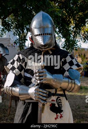 ritter Vollplatte mittelalterliche Rüstung posiert vor der Kamera Stockfoto