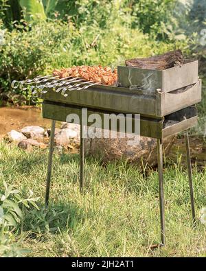 Grill auf dem Grill. Mariniertes Fleisch auf Spiessen, Shish Kebab, Rindersteaks auf dem Grill während der Sommerzeit Stockfoto