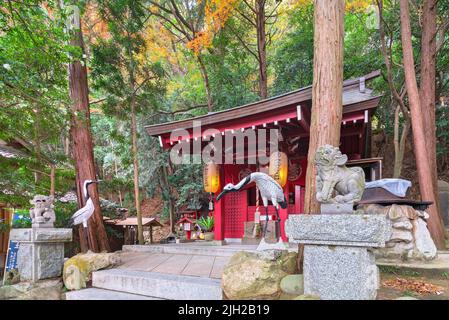 kyushu, japan - dezember 08 2021: Skulpturen japanischer Komainu-Löwen und rotkroniger Kraniche vor dem Okunomiya Sanbokojin-Schrein, dem gewidmet Stockfoto