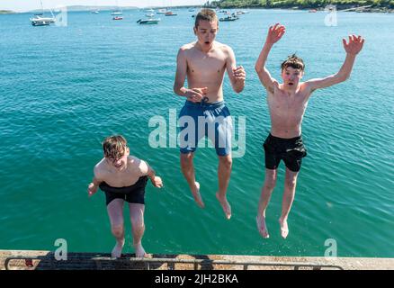 Schull, West Cork, Irland. 14.. Juli 2022. Die Temperaturen in West Cork haben heute 23C erreicht, und viele Menschen ziehen zur Abkühlung an die Küste. Robert Collins, Skibbereen, Jackson Little, Ballydehob und Conor Lawson, Schull, sprangen vom Schull Pier zur Abkühlung. Quelle: AG News/Alamy Live News Stockfoto