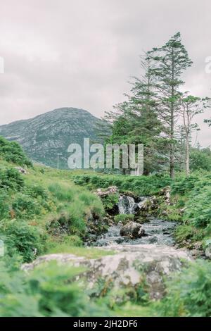 Ein Bach im Connemara National Park in der Grafschaft Galway, Irland Stockfoto