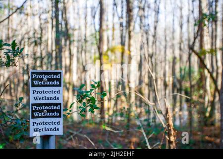 Geschützte Feuchtgebiete in South Carolina Stockfoto