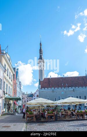 Rathausturm mit 'Old Thomas' und einem Sommercafe in Tallinn Stockfoto