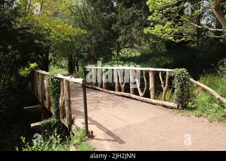 Eine Brücke aus Ästen mit abwechselnden I- und V-Formen überquert einen kleinen Bach Stockfoto