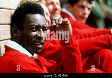 PELE, SIEG, 1981 Stockfoto