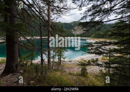 Blick zwischen den Bäumen am Schwarzen See im Durmitor Nationalpark, Gemeinde Žabljak, Nord-Montenegro Stockfoto