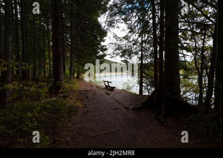 Eine Bank auf einem Wanderweg am Rande des Schwarzen Sees im Durmitor Nationalpark, Gemeinde Žabljak, Nord-Montenegro Stockfoto