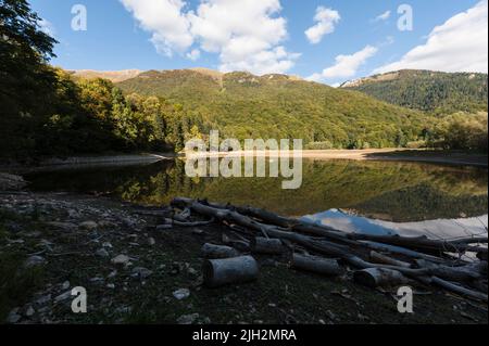 Baumstämme, die am Rande des Schwarzen Sees im Durmitor Nationalpark, Gemeinde Žabljak, Nord-Montenegro, liegen Stockfoto