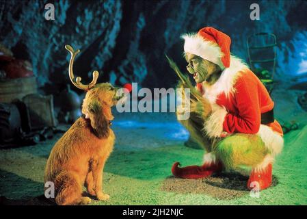 HUND, CARREY, WIE DER GRINCH WEIHNACHTEN STAHL, 2000 Stockfoto