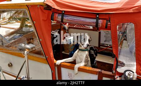 FORT WILLIAM CALEDONIAN CANAL NEPTUNES TREPPENHAUS HUND AUF EINER YACHT IN EINEM SCHLOSS VERTÄUT Stockfoto