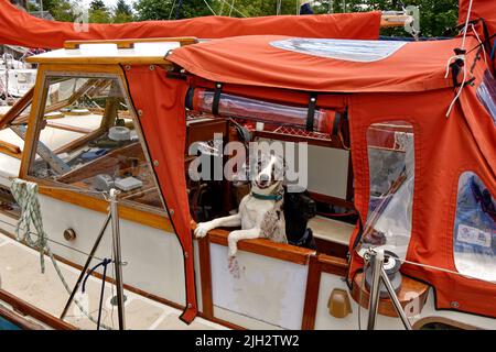 FORT WILLIAM CALEDONIAN CANAL NEPTUNES TREPPENHAUS HUND AUF EINER YACHT WARTET IN EINEM SCHLOSS Stockfoto