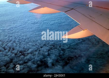 Airbus A220-300 Flügel in Sonnenuntergangslichtern fliegen über Wolken irgendwo über der Ostseeregion in Europa Stockfoto