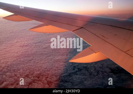 Airbus A220-300 Flügel in Sonnenuntergangslichtern fliegen über Wolken irgendwo über der Ostseeregion in Europa Stockfoto