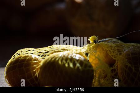 Zitronen im Gitter aus der Nähe. Frucht in den Strahlen der Sonne auf einem dunklen Hintergrund. Zitronenscheibe. Stockfoto