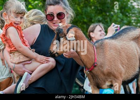 Kleines Kind am Arm der Mutter, das Pygmäen-Ziege / Westafrikanische Zwergziege im Streichelzoo / Kinderhof anschaut Stockfoto