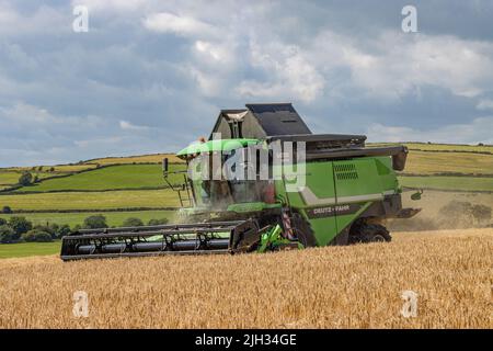 Draper bei Winter Barley Juli 2022 Stockfoto