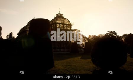 Wien, Österreich - 10. Oktober 2018: Palmenhaus (Palmenhaus) im Gebäude im Schlosspark Schönbrunn bei Sonnenuntergang in Wien, Österreich Stockfoto