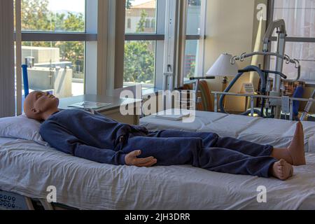 Ein Mannikin-Dummy, der verwendet wird, um medizinisches Personal beim Lernen der CPR und anderer medizinischer Interventionen zu Schulen. St. Joseph's Hospital in Orange, Kalifornien, USA Stockfoto