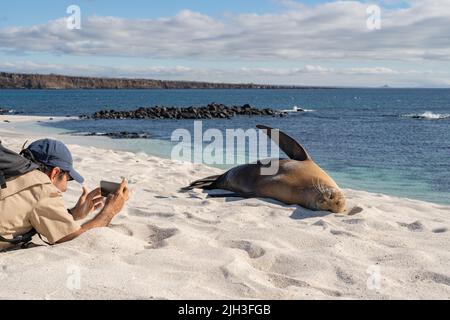 Der Naturführer fotografiert einen Seelöwen auf den Galapagos-Inseln Stockfoto