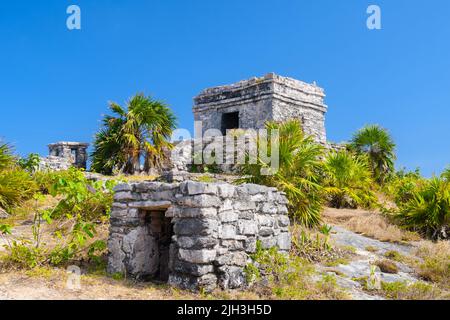 Struktur 45, Offertorien auf dem Hügel in Strandnähe, Maya-Ruinen in Tulum, Riviera Maya, Yucatan, Karibisches Meer, Mexiko. Stockfoto