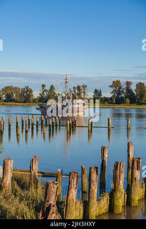 Kommerzielles Fischerboot auf dem Weg vom Steveston Hafen in Großbritannien Kolumbien Kanada Stockfoto