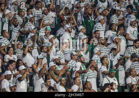 Sao Paulo, Brasilien. 14.. Juli 2022. SP - Sao Paulo - 07/14/2022 - 2022 BRAZILIAN CUP, PALMEIRAS X SAO PAULO - Unterstützende während eines Spiels zwischen Palmeiras und Sao Paulo im Arena Allianz Parque Stadion für die Copa do Brasil Meisterschaft 2022. Foto: Marcello Zambrana/AGIF/Sipa USA Quelle: SIPA USA/Alamy Live News Stockfoto