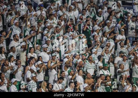 Sao Paulo, Brasilien. 14.. Juli 2022. SP - Sao Paulo - 07/14/2022 - 2022 BRAZILIAN CUP, PALMEIRAS X SAO PAULO - Unterstützende während eines Spiels zwischen Palmeiras und Sao Paulo im Arena Allianz Parque Stadion für die Copa do Brasil Meisterschaft 2022. Foto: Marcello Zambrana/AGIF/Sipa USA Quelle: SIPA USA/Alamy Live News Stockfoto