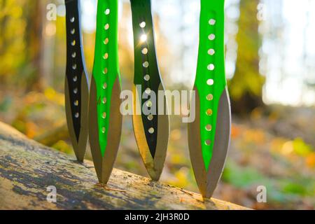 Wurfmesser in einem Baumstamm in einem sonnigen Wald.Sport- und Hobbykonzept. Schwarze Metallmesser zum Einwerfen von Händen auf einen Waldhintergrund.Outdoor-Sport Stockfoto