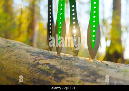 Wurfmesser in einem sonnigen Wald.Sport- und Hobby-Konzept. Metallmesser zum Werfen in die Hände eines mannes auf einem Tannenwald Hintergrund.Outdoor-Sport.Sport Stockfoto