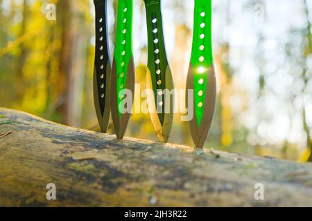 Wurfmesser in einem Baumstamm in einem sonnigen Wald.Sport- und Hobbykonzept.Sportgeräte. Stockfoto