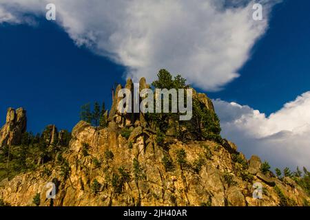 Blick vom Needles Highway im Sommer, South Dakota Stockfoto