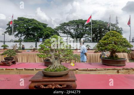 Bonsai-Wettbewerb und Ausstellung in Bogor City, Indonesisch. Indonesien gehört zu den drei größten Ländern mit den größten und qualitativ hochwertigsten Bonsai-Gemeinschaften Stockfoto
