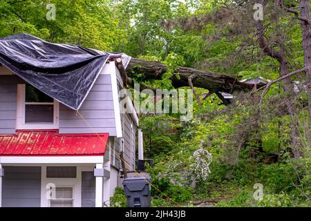 Sturmschäden und starke Winde schlagen einen Baum auf das Dach dieses Ferienhauses Stockfoto