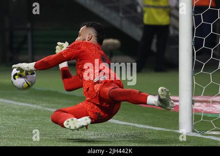 Sao Paulo, Brasilien. 15.. Juli 2022. SP - Sao Paulo - 07/14/2022 - BRAZILIAN CUP 2022, PALMEIRAS X SAO PAULO - Jandrei-Spieler für Sao Paulo während eines Spiels gegen Palmeiras im Arena Allianz Parque Stadion für die Copa do Brasil 2022 Meisterschaft. Foto: Marcello Zambrana/AGIF/Sipa USA Quelle: SIPA USA/Alamy Live News Stockfoto