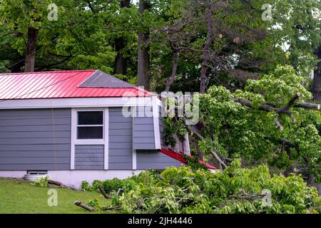 Ein gefallener Baum nach einem bösen Sturm fügt diesem Haus Schaden zu, aber Baumschneider werden hereinziehen, um Trümmer zu beseitigen, sobald der Regen aufhört Stockfoto