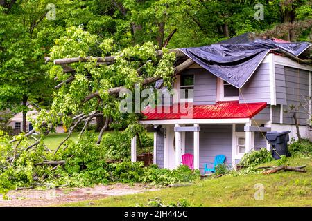 Ein wilder Sturm wirft einen Baum auf dieses kleine Haus, beschädigt das Dach und macht ein Chaos Stockfoto