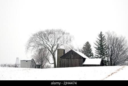 Alte Farm an einem winterlichen Tag in Michigan USA, während Schnee sanft auf die kalten Felder fällt Stockfoto