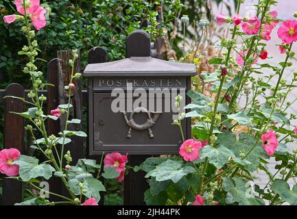 Zossen, Deutschland. 30.. Juni 2022. Ein Briefkasten auf einem Gartenzaun in der Stadt Zossen im Kreis Teltow-Fläming. Zossen in Brandenburg gilt aufgrund seiner niedrigen Unternehmenssteuer als Steueroase. (To dpa 'Berlin will Steueroasen in Brandenburg entleeren') Quelle: Patrick Pleul/dpa/Alamy Live News Stockfoto