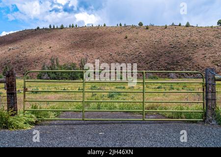 Grünes Metalltor zu einem Farmfeld in den Hügeln von Zentral-Oregon, USA Stockfoto