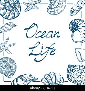 Eine Bannervorlage im nautischen Stil. Handgezeichnete Muscheln und Seesterne im Sketch-Stil. Das Leben des Ozeans. Handgeschriebene Schriftzüge. Eine Vorlage für ein n Stock Vektor