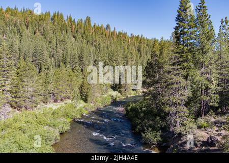 Truckee River im Wald in der Nähe von Lake Tahoe California. Stockfoto