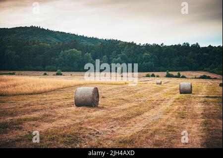 Vintage-Foto von Strohballen auf dem Feld. Ländliche Landschaft Stockfoto