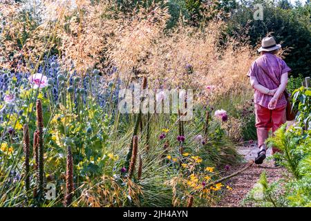 Barch Hill Garden im Juli East Sussex UK Stockfoto