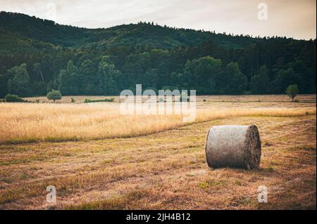 Vintage-Foto von Strohballen auf dem Feld. Ländliche Landschaft Stockfoto