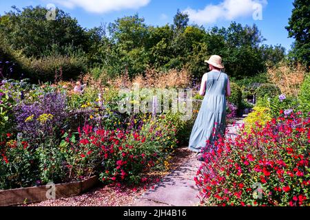 Barch Hill Garden im Juli East Sussex UK Stockfoto