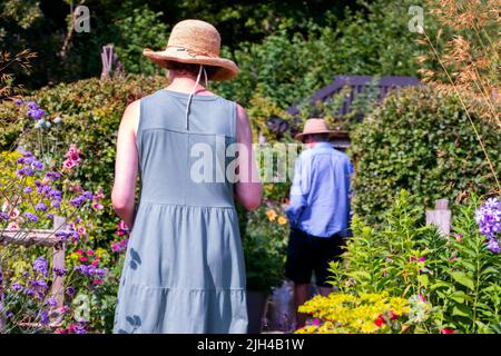 Barch Hill Garden im Juli East Sussex UK Stockfoto