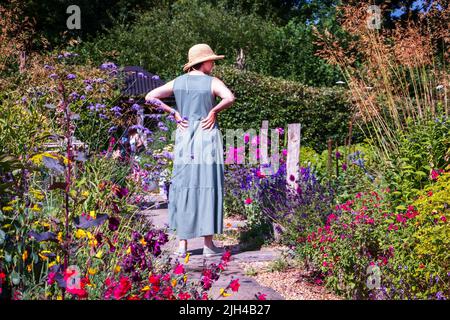 Barch Hill Garden im Juli East Sussex UK Stockfoto