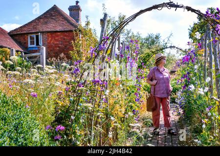 Barch Hill Garden im Juli East Sussex UK Stockfoto